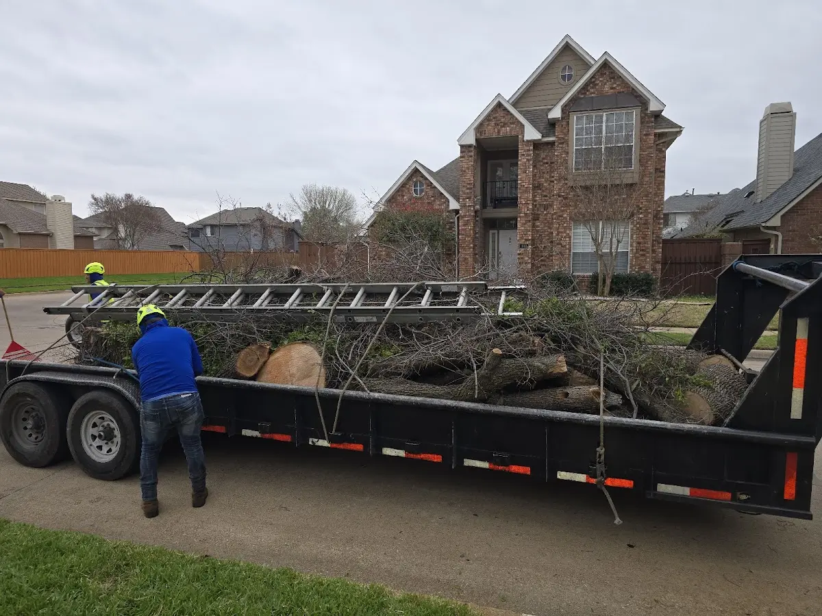 Expert Tree Fertilization with proper safety equipment in Round Top